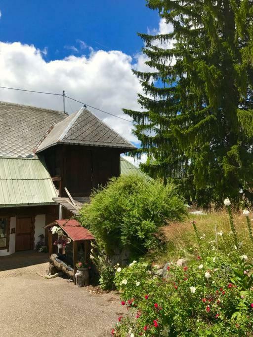 Echtes Schwarzwaldhaus - Traditionell & Modern Bernau im Schwarzwald Exterior photo
